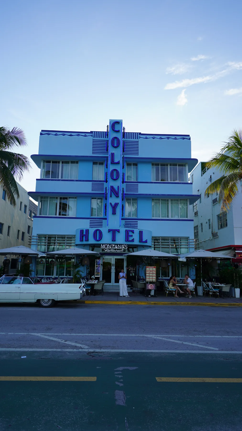 Palmiyelerin arasında mavi Colony Hotel cephesi ve tabelası.